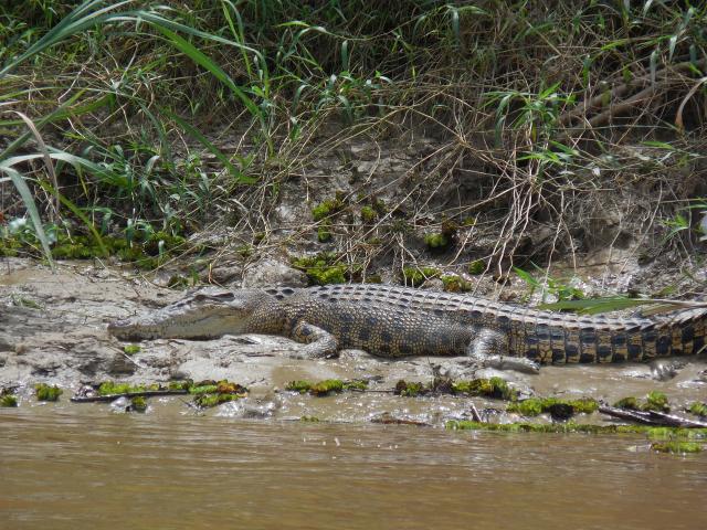 2014-01-01 00.00.00-150