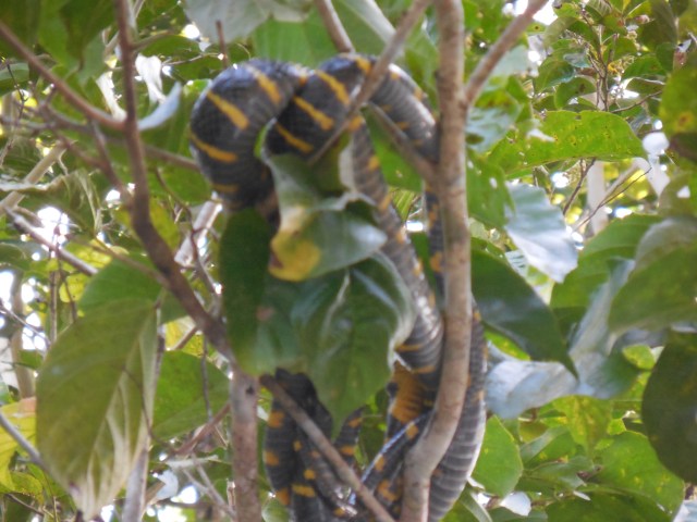 2014-01-01 00.00.00-156