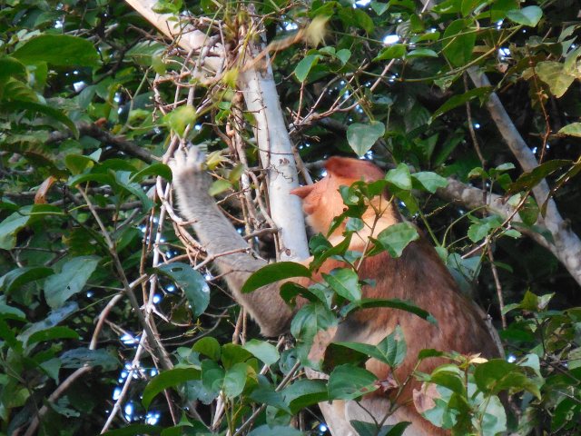 2014-01-01 00.00.00-177