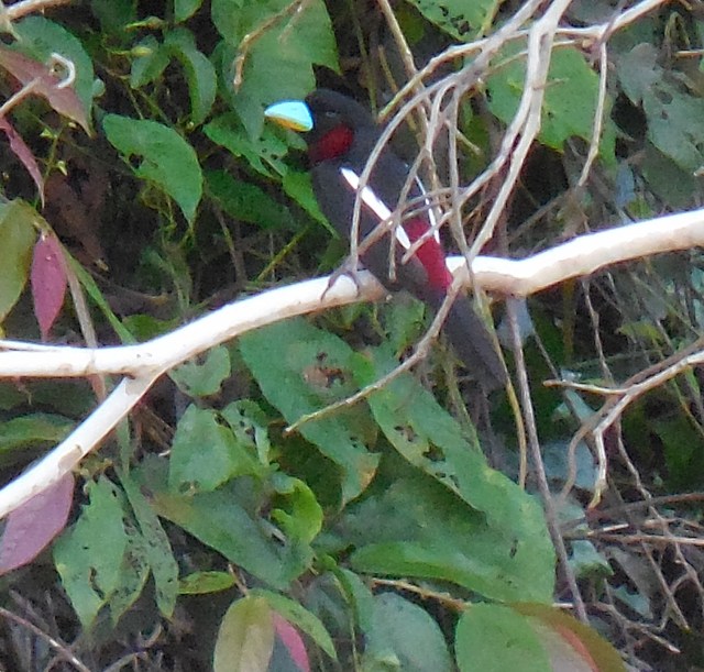 2014-01-01 00.00.00-194