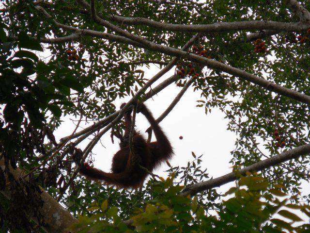 2014-01-01 00.00.00-210