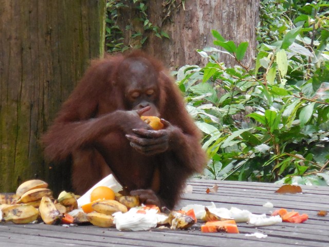 2014-01-01 00.00.00-297