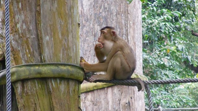 2014-01-01 00.00.00-305