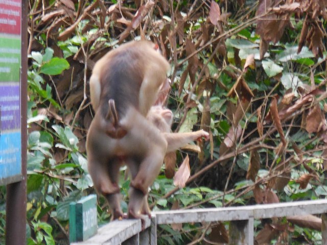 2014-01-01 00.00.00-318