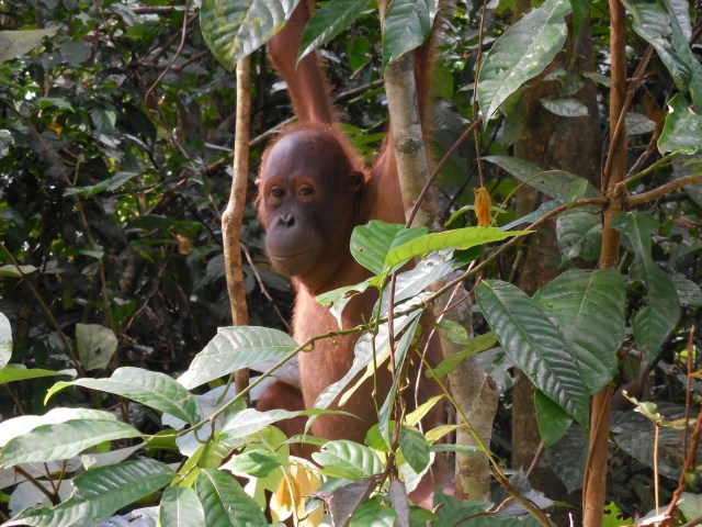 2014-01-01 00.00.00-359