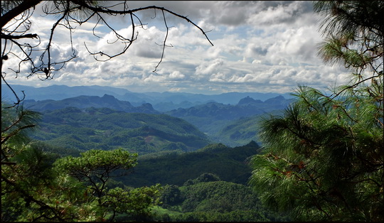 Mae Hong View #1