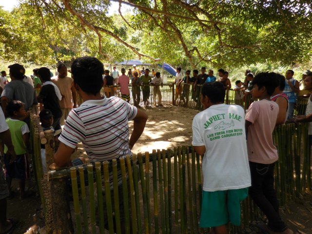 2013-12-31 23.00.00-46