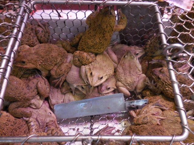 2014-01-01 00.00.00-64